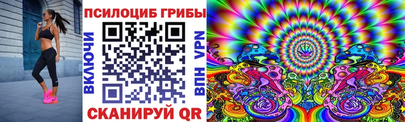 Купить  Иннополис  Псилоцибиновые грибы Psilocybine cubensis 